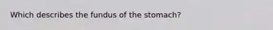 Which describes the fundus of the stomach?