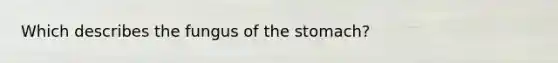 Which describes the fungus of the stomach?