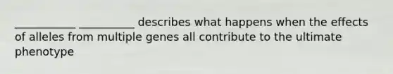 ___________ __________ describes what happens when the effects of alleles from multiple genes all contribute to the ultimate phenotype