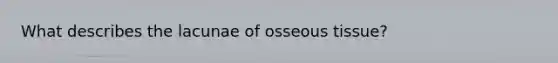 What describes the lacunae of osseous tissue?