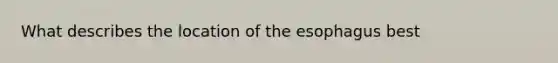 What describes the location of the esophagus best