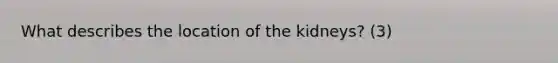 What describes the location of the kidneys? (3)