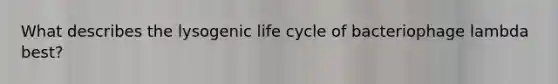 What describes the lysogenic life cycle of bacteriophage lambda best?