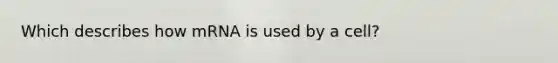 Which describes how mRNA is used by a cell?