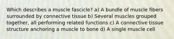 Which describes a muscle fascicle? a) A bundle of muscle fibers surrounded by <a href='https://www.questionai.com/knowledge/kYDr0DHyc8-connective-tissue' class='anchor-knowledge'>connective tissue</a> b) Several muscles grouped together, all performing related functions c) A connective tissue structure anchoring a muscle to bone d) A single muscle cell