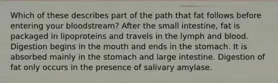 Which of these describes part of the path that fat follows before entering your bloodstream? After the small intestine, fat is packaged in lipoproteins and travels in the lymph and blood. Digestion begins in the mouth and ends in the stomach. It is absorbed mainly in the stomach and large intestine. Digestion of fat only occurs in the presence of salivary amylase.