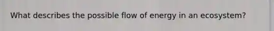 What describes the possible flow of energy in an ecosystem?