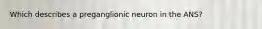 Which describes a preganglionic neuron in the ANS?