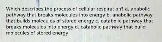 Which describes the process of cellular respiration? a. anabolic pathway that breaks molecules into energy b. anabolic pathway that builds molecules of stored energy c. catabolic pathway that breaks molecules into energy d. catabolic pathway that build molecules of stored energy