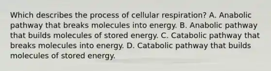 Which describes the process of cellular respiration? A. Anabolic pathway that breaks molecules into energy. B. Anabolic pathway that builds molecules of stored energy. C. Catabolic pathway that breaks molecules into energy. D. Catabolic pathway that builds molecules of stored energy.