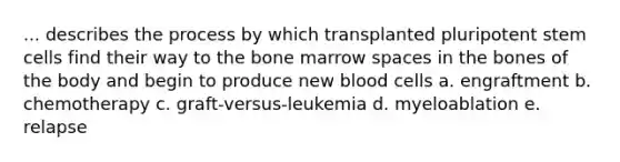 ... describes the process by which transplanted pluripotent stem cells find their way to the bone marrow spaces in the bones of the body and begin to produce new blood cells a. engraftment b. chemotherapy c. graft-versus-leukemia d. myeloablation e. relapse