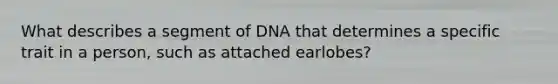 What describes a segment of DNA that determines a specific trait in a person, such as attached earlobes?