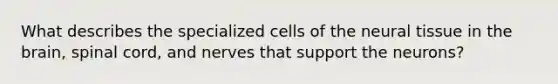 What describes the specialized cells of the neural tissue in the brain, spinal cord, and nerves that support the neurons?