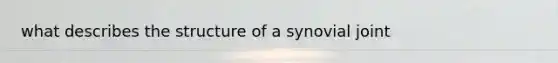 what describes the structure of a synovial joint