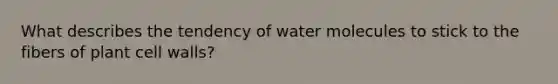 What describes the tendency of water molecules to stick to the fibers of plant cell walls?