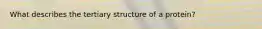 What describes the tertiary structure of a protein?