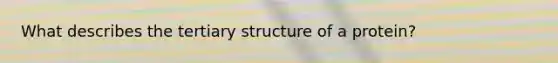 What describes the tertiary structure of a protein?