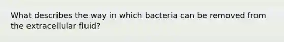 What describes the way in which bacteria can be removed from the extracellular fluid?