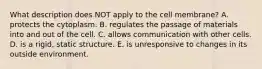 What description does NOT apply to the cell membrane? A. protects the cytoplasm. B. regulates the passage of materials into and out of the cell. C. allows communication with other cells. D. is a rigid, static structure. E. is unresponsive to changes in its outside environment.