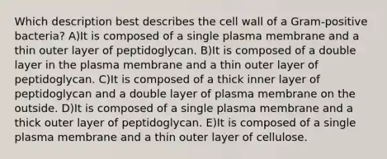 Which description best describes the cell wall of a Gram-positive bacteria? A)It is composed of a single plasma membrane and a thin outer layer of peptidoglycan. B)It is composed of a double layer in the plasma membrane and a thin outer layer of peptidoglycan. C)It is composed of a thick inner layer of peptidoglycan and a double layer of plasma membrane on the outside. D)It is composed of a single plasma membrane and a thick outer layer of peptidoglycan. E)It is composed of a single plasma membrane and a thin outer layer of cellulose.