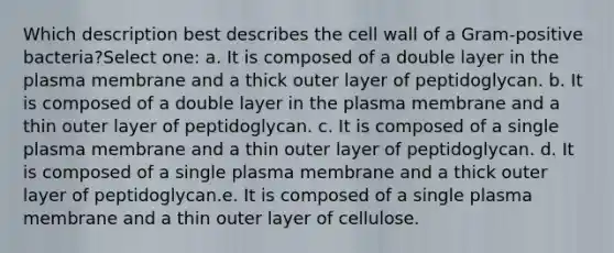 Which description best describes the cell wall of a Gram-positive bacteria?Select one: a. It is composed of a double layer in the plasma membrane and a thick outer layer of peptidoglycan. b. It is composed of a double layer in the plasma membrane and a thin outer layer of peptidoglycan. c. It is composed of a single plasma membrane and a thin outer layer of peptidoglycan. d. It is composed of a single plasma membrane and a thick outer layer of peptidoglycan.e. It is composed of a single plasma membrane and a thin outer layer of cellulose.