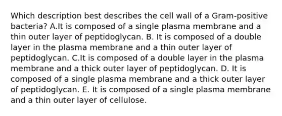 Which description best describes the cell wall of a Gram-positive bacteria? A.It is composed of a single plasma membrane and a thin outer layer of peptidoglycan. B. It is composed of a double layer in the plasma membrane and a thin outer layer of peptidoglycan. C.It is composed of a double layer in the plasma membrane and a thick outer layer of peptidoglycan. D. It is composed of a single plasma membrane and a thick outer layer of peptidoglycan. E. It is composed of a single plasma membrane and a thin outer layer of cellulose.