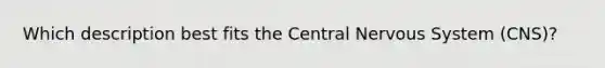 Which description best fits the Central Nervous System (CNS)?