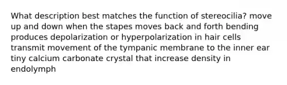 What description best matches the function of stereocilia? move up and down when the stapes moves back and forth bending produces depolarization or hyperpolarization in hair cells transmit movement of the tympanic membrane to the inner ear tiny calcium carbonate crystal that increase density in endolymph