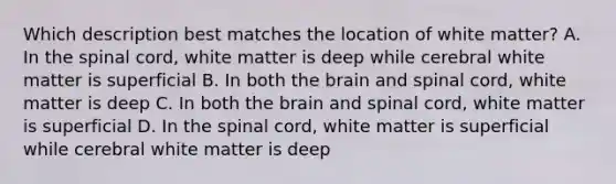 Which description best matches the location of white matter? A. In the spinal cord, white matter is deep while cerebral white matter is superficial B. In both the brain and spinal cord, white matter is deep C. In both the brain and spinal cord, white matter is superficial D. In the spinal cord, white matter is superficial while cerebral white matter is deep