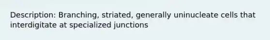 Description: Branching, striated, generally uninucleate cells that interdigitate at specialized junctions