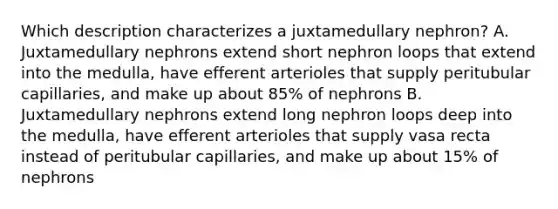 Which description characterizes a juxtamedullary nephron? A. Juxtamedullary nephrons extend short nephron loops that extend into the medulla, have efferent arterioles that supply peritubular capillaries, and make up about 85% of nephrons B. Juxtamedullary nephrons extend long nephron loops deep into the medulla, have efferent arterioles that supply vasa recta instead of peritubular capillaries, and make up about 15% of nephrons