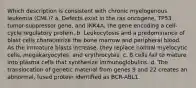 Which description is consistent with chronic myelogenous leukemia (CML)? a. Defects exist in the ras oncogene, TP53 tumor-suppressor gene, and INK4A, the gene encoding a cell-cycle regulatory protein. b. Leukocytosis and a predominance of blast cells characterize the bone marrow and peripheral blood. As the immature blasts increase, they replace normal myelocytic cells, megakaryocytes, and erythrocytes. c. B cells fail to mature into plasma cells that synthesize immunoglobulins. d. The translocation of genetic material from genes 9 and 22 creates an abnormal, fused protein identified as BCR-ABL1.