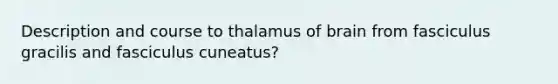 Description and course to thalamus of brain from fasciculus gracilis and fasciculus cuneatus?