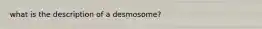 what is the description of a desmosome?