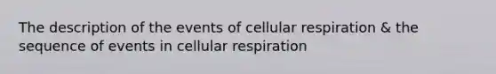 The description of the events of cellular respiration & the sequence of events in cellular respiration