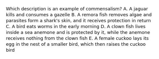 Which description is an example of commensalism? A. A jaguar kills and consumes a gazelle B. A remora fish removes algae and parasites form a shark's skin, and it receives protection in return C. A bird eats worms in the early morning D. A clown fish lives inside a sea anemone and is protected by it, while the anemone receives nothing from the clown fish E. A female cuckoo lays its egg in the nest of a smaller bird, which then raises the cuckoo bird