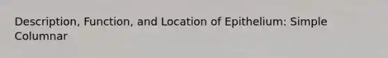 Description, Function, and Location of Epithelium: Simple Columnar