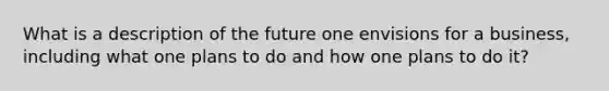 What is a description of the future one envisions for a business, including what one plans to do and how one plans to do it?