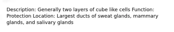 Description: Generally two layers of cube like cells Function: Protection Location: Largest ducts of sweat glands, mammary glands, and salivary glands