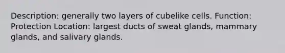 Description: generally two layers of cubelike cells. Function: Protection Location: largest ducts of sweat glands, mammary glands, and salivary glands.