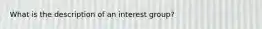 What is the description of an interest group?