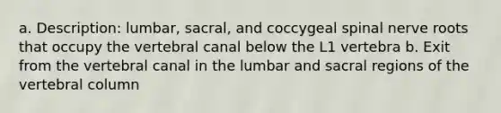 a. Description: lumbar, sacral, and coccygeal spinal nerve roots that occupy the vertebral canal below the L1 vertebra b. Exit from the vertebral canal in the lumbar and sacral regions of the <a href='https://www.questionai.com/knowledge/ki4fsP39zf-vertebral-column' class='anchor-knowledge'>vertebral column</a>