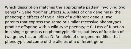 Which description matches the appropriate pattern involving two genes? - Gene Modifier Effects A. Alleles of one gene mask the phenotypic effects of the alleles of a different gene B. Two parents that express the same or similar recessive phenotypes produce offspring with a wild-type phenotype C. Loss of function in a single gene has no phenotypic effect, but loss of function of two genes has an effect D. An allele of one gene modifies that phenotypic outcome of the alleles of a different gene