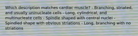 Which description matches cardiac muscle? - Branching, striated, and usually uninucleate cells - Long, cylindrical, and multinucleate cells - Spindle shaped with central nuclei - Spindled shape with obvious striations - Long, branching with no striations