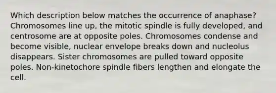 Which description below matches the occurrence of anaphase? Chromosomes line up, the mitotic spindle is fully developed, and centrosome are at opposite poles. Chromosomes condense and become visible, nuclear envelope breaks down and nucleolus disappears. Sister chromosomes are pulled toward opposite poles. Non-kinetochore spindle fibers lengthen and elongate the cell.