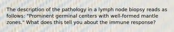 The description of the pathology in a lymph node biopsy reads as follows: "Prominent germinal centers with well-formed mantle zones." What does this tell you about the immune response?