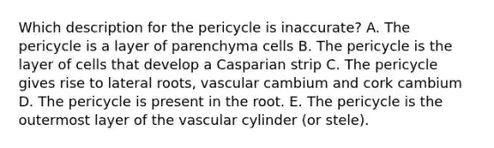 Which description for the pericycle is inaccurate? A. The pericycle is a layer of parenchyma cells B. The pericycle is the layer of cells that develop a Casparian strip C. The pericycle gives rise to lateral roots, vascular cambium and cork cambium D. The pericycle is present in the root. E. The pericycle is the outermost layer of the vascular cylinder (or stele).