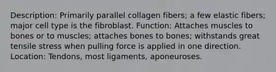 Description: Primarily parallel collagen fibers; a few elastic fibers; major cell type is the fibroblast. Function: Attaches muscles to bones or to muscles; attaches bones to bones; withstands great tensile stress when pulling force is applied in one direction. Location: Tendons, most ligaments, aponeuroses.