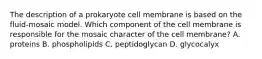 The description of a prokaryote cell membrane is based on the fluid-mosaic model. Which component of the cell membrane is responsible for the mosaic character of the cell membrane? A. proteins B. phospholipids C. peptidoglycan D. glycocalyx