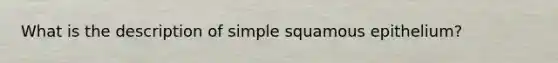 What is the description of simple squamous epithelium?